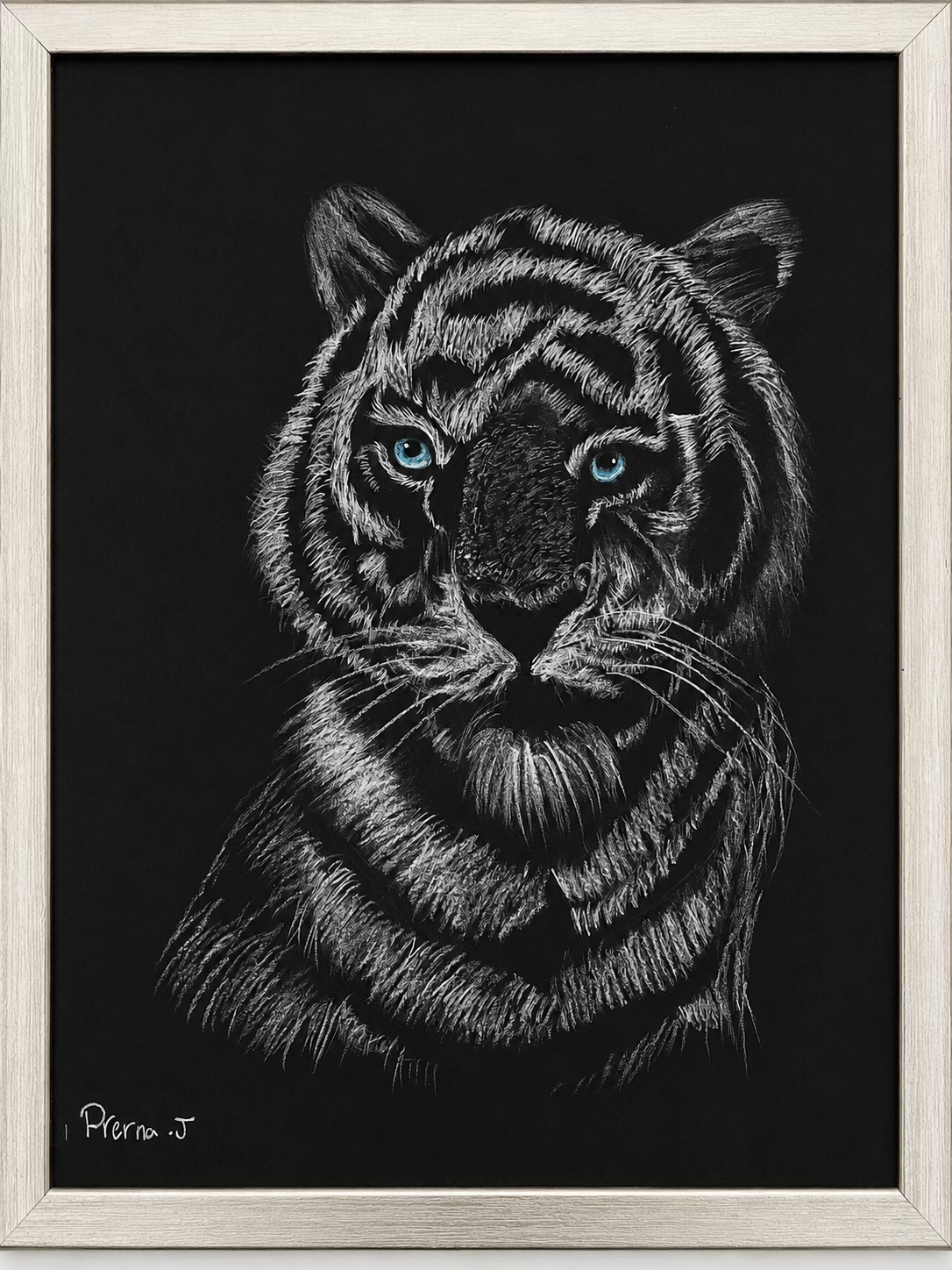 Eyes of the Wild
